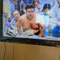 痛そう