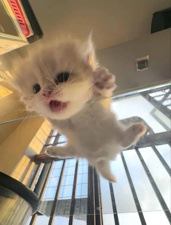 今日のこと〜