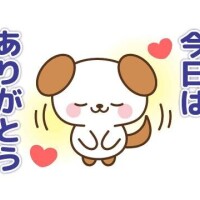 Y様感謝