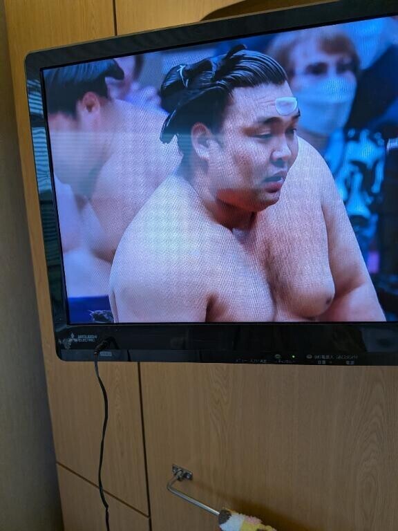 うっちゃり