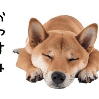 また13時に