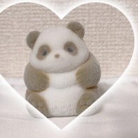 おはよう♡