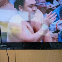 よし