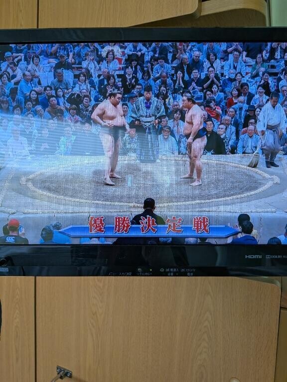 始まるよ!