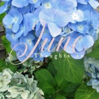 6月