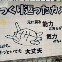 手抜き
