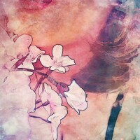 固くなってきた〜