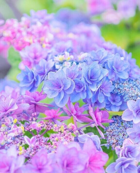 ♡今日は