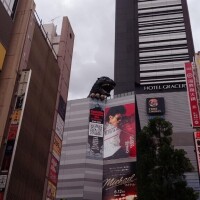 だいぶ前ゴジラ⸒⸒
