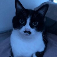 ゴロゴロぉ〜♪♪