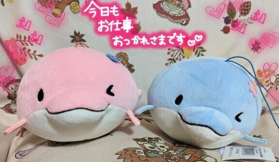 ゆるいるか達