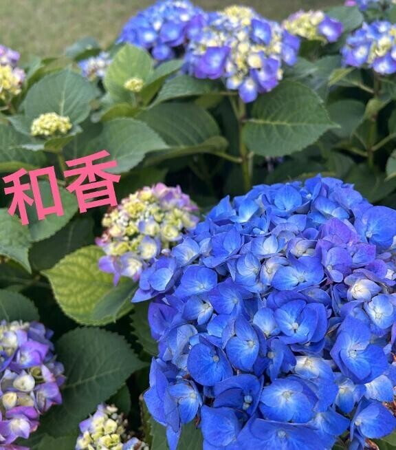 おはようございます