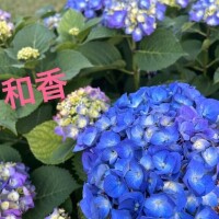 おはようございます