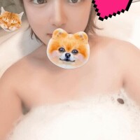 明日はワンニャン