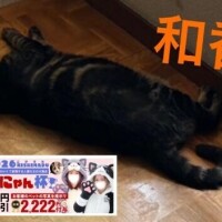 今日はイベントー