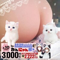 【今日コレ】6月10日は『西丸わんにゃんカップ』