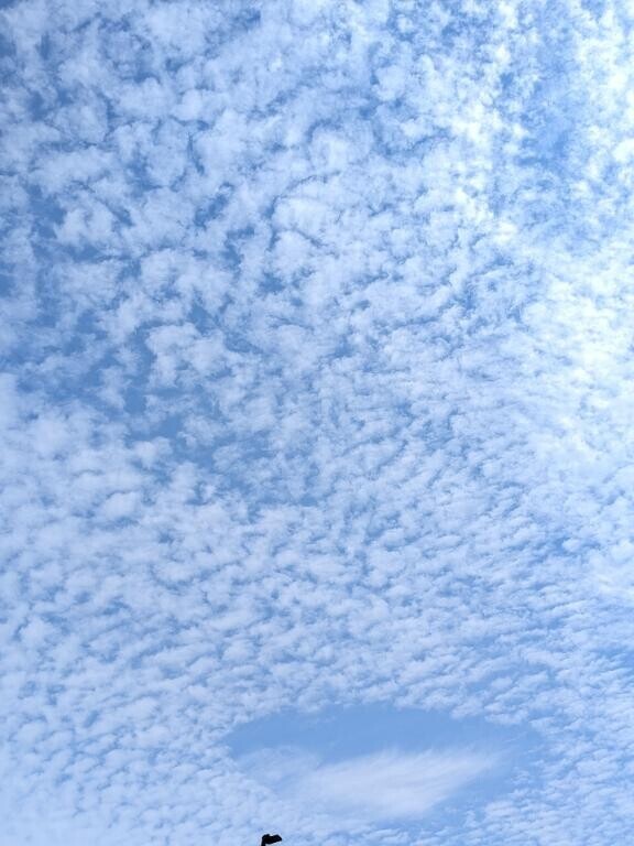 今日の朝の空