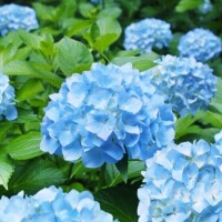 トホホ…（泣）