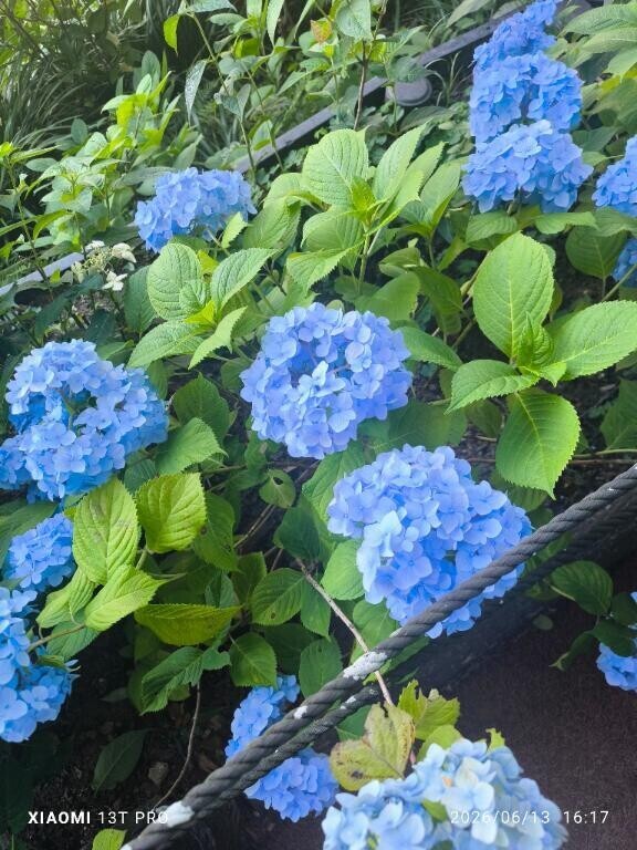 おはよー(*´艸｀*)