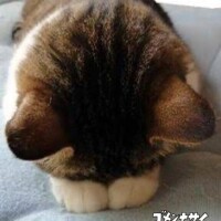 すみませんm(_ _)m
