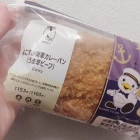 お昼ご飯‎ 𐩢𐩺