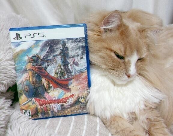 ドラクエリメイク??