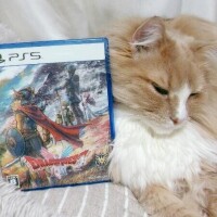 ドラクエリメイク??