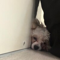 お礼??