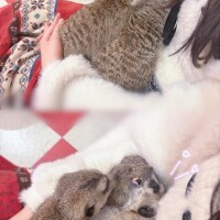 お礼??