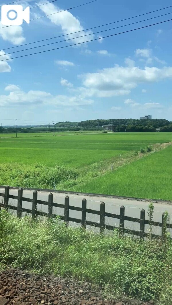 ローカル線🩷