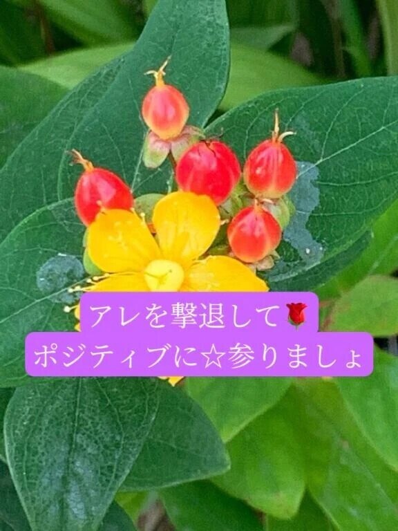 ＯＴＯＮＯちゃん紳士様へお礼です🙂