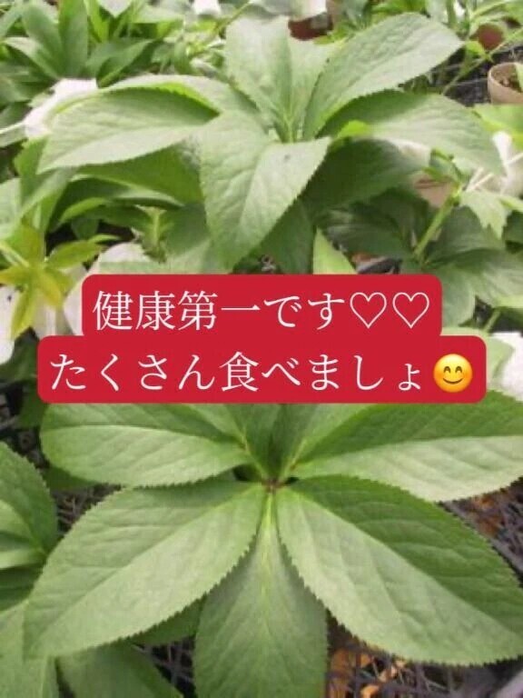 ＯＴＯＮＯちゃん紳士様へお礼です🙂