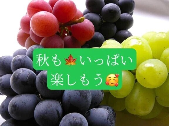 ＯＴＯＮＯちゃん紳士様へお礼です🙂