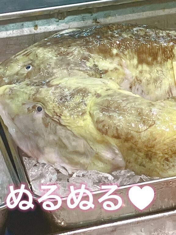 笑   深海魚ばばぁちゃん ⇐ タナカゲンゲ 笑