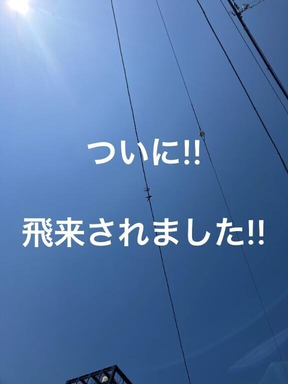 \( ･ω･)/♥ 今…♥️