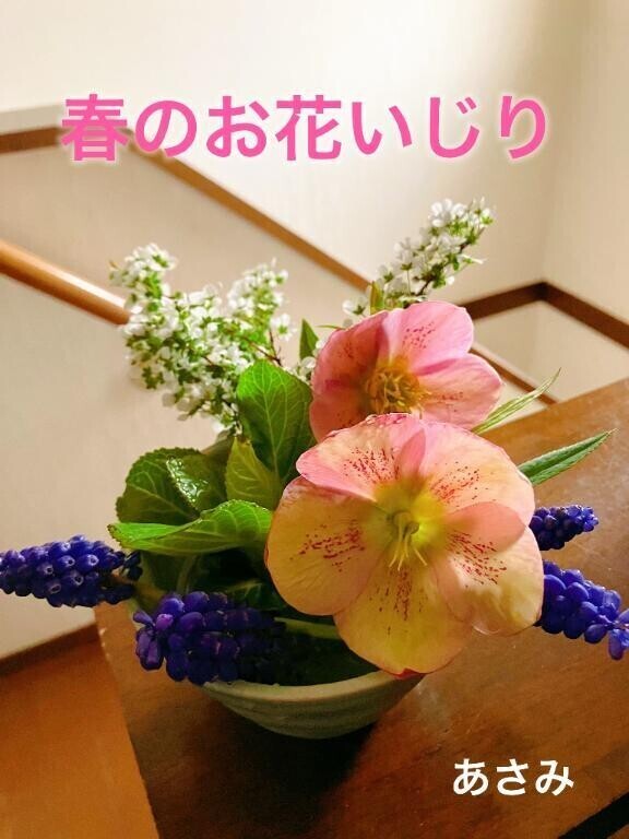 ❁⃘*.ﾟ お花を大切に ❁⃘*.ﾟ