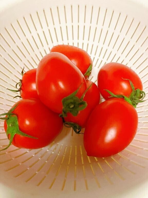 ♡♡ グンと伸びる ♡♡そして生で♡♡