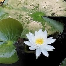 格闘家紳士様へお礼です🙂