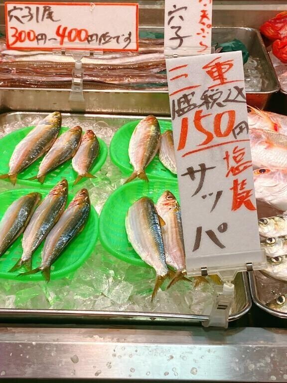 隠れた逸品🩷 サッパ