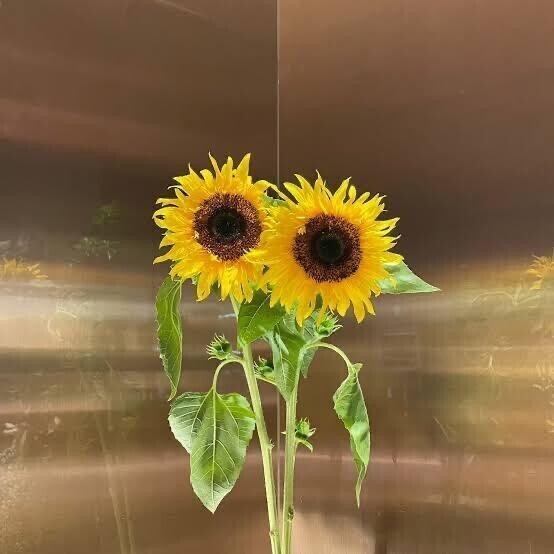 お貸切♡ハラッドキッキュンな紳士様へお礼です🙂