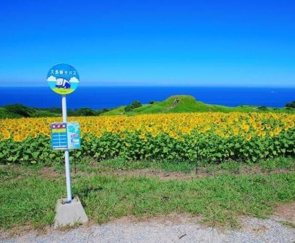 カモシカ脚の紳士様へお礼です🙂