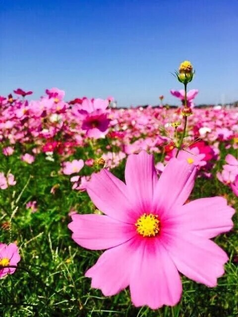 雨の中のお誘い Ｔ紳士様へお礼です🙂