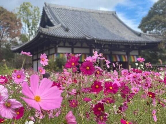 初めましてな Ｋ紳士様へお礼です🙂