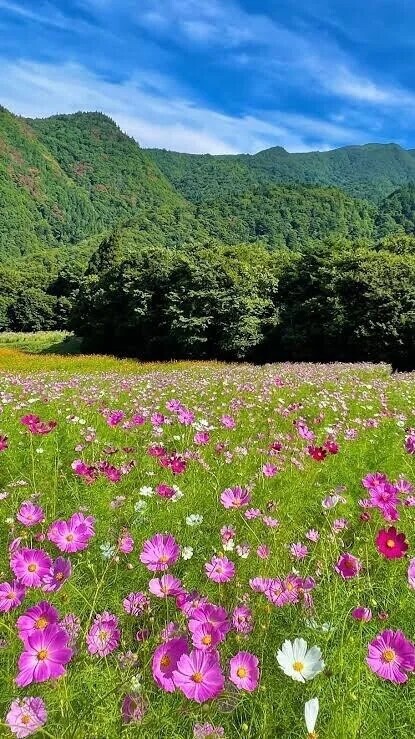 ご自宅の初めまして様へお礼です🙂