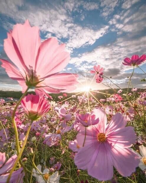 Ｈでウォッチなプリンス様へお礼です🙂