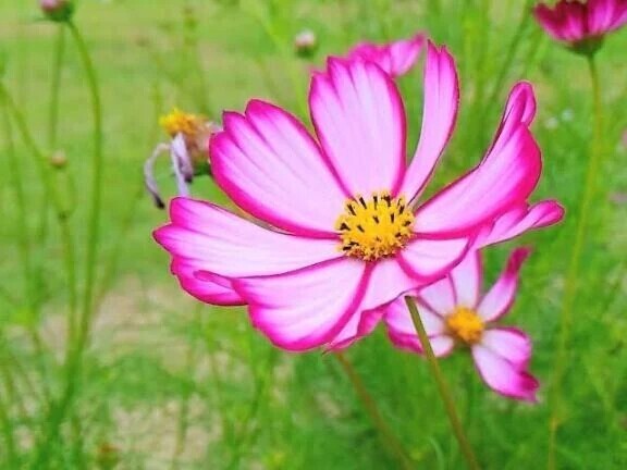 ＯＴＯＮＯちゃん紳士様へお礼です🙂