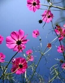 投資家紳士様へお礼です🙂