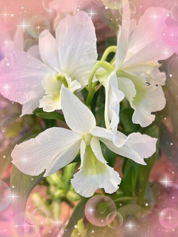 お花の教室にて…