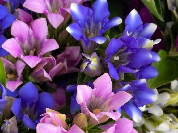 ✈️テキパキ滑らかスキンのT紳士様へお礼です✈️