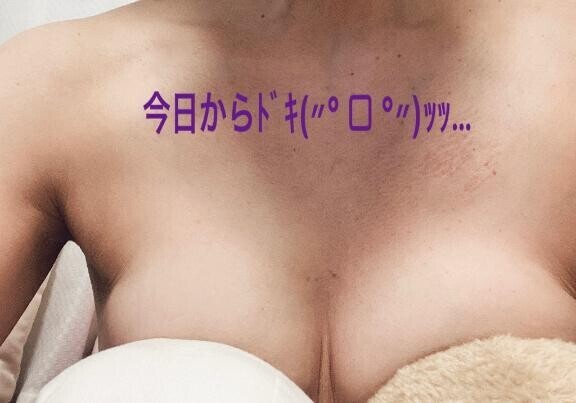 おはようございます?